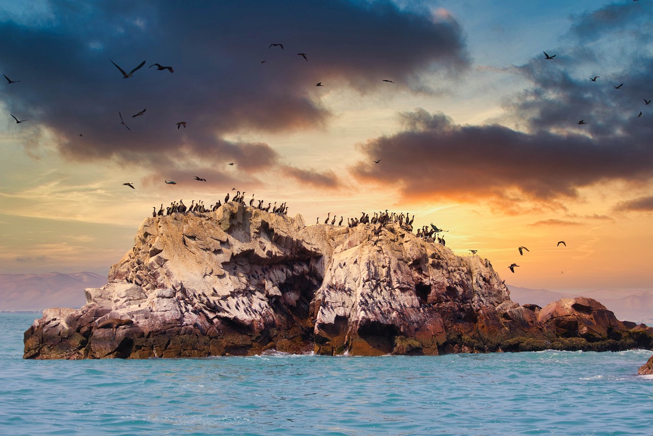 Ballestas Inseln